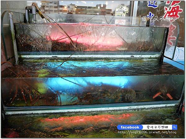 【宜蘭蘇澳/美食】重新裝潢,環境乾淨明亮。自家漁船。最青的海鮮!新海樓海鮮餐廳。南方澳 【宜蘭蘇澳/美食】重新裝潢,環境乾淨明亮。自家漁船。最青的海鮮!新海樓海鮮餐廳。南方澳