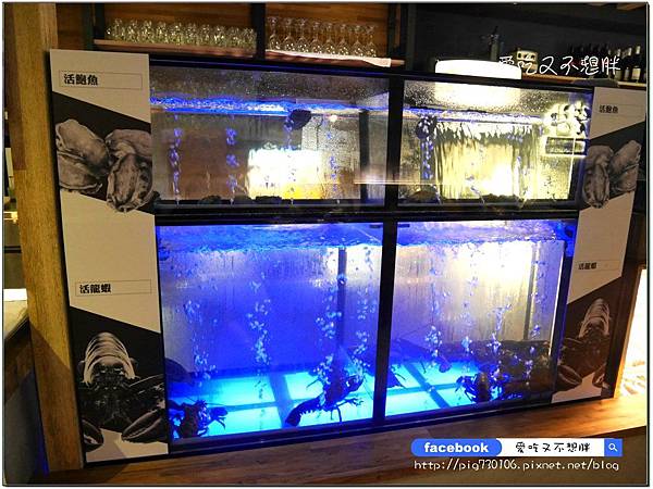 【新北市蘆洲/美食】自已的牛排自已煎!400度岩石DIY/冷藏肉專賣/高品質牛肉/活海鮮!活鮑魚3顆只要280元~岩神石板牛排蘆洲館 【新北市蘆洲/美食】自已的牛排自已煎!400度岩石DIY/冷藏肉專賣/高品質牛肉/活海鮮!活鮑魚3顆只要280元~岩神石板牛排蘆洲館