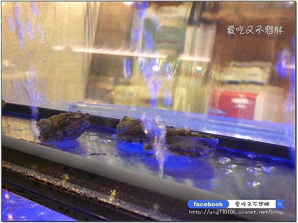 【新北市蘆洲/美食】自已的牛排自已煎!400度岩石DIY/冷藏肉專賣/高品質牛肉/活海鮮!活鮑魚3顆只要280元~岩神石板牛排蘆洲館 【新北市蘆洲/美食】自已的牛排自已煎!400度岩石DIY/冷藏肉專賣/高品質牛肉/活海鮮!活鮑魚3顆只要280元~岩神石板牛排蘆洲館