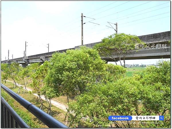 【宜蘭市/美食】一鴨三吃/活魚三吃通通1500元!精緻無菜單料理/有包廂 適合宴客/聚餐。縣鼎食府 【宜蘭市/美食】一鴨三吃/活魚三吃通通1500元!精緻無菜單料理/有包廂 適合宴客/聚餐。縣鼎食府