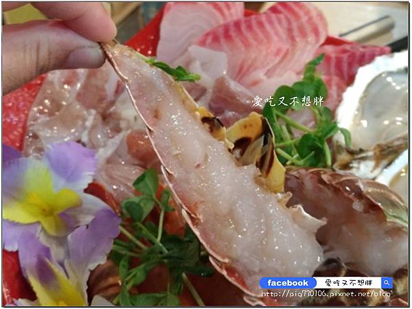 【新北市泰山/美食】高CP值!相撲鍋超大一盤肉只要309元!雙人海鮮總匯大船上桌只要1399元!怎麼吃都不心庝啦~極上日式涮涮鍋 【新北市泰山/美食】高CP值!相撲鍋超大一盤肉只要309元!雙人海鮮總匯大船上桌只要1399元!怎麼吃都不心庝啦~極上日式涮涮鍋