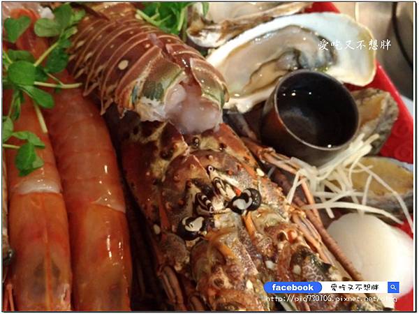 【新北市泰山/美食】高CP值!相撲鍋超大一盤肉只要309元!雙人海鮮總匯大船上桌只要1399元!怎麼吃都不心庝啦~極上日式涮涮鍋 【新北市泰山/美食】高CP值!相撲鍋超大一盤肉只要309元!雙人海鮮總匯大船上桌只要1399元!怎麼吃都不心庝啦~極上日式涮涮鍋