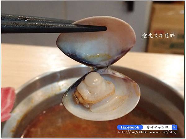 【新北市泰山/美食】高CP值!相撲鍋超大一盤肉只要309元!雙人海鮮總匯大船上桌只要1399元!怎麼吃都不心庝啦~極上日式涮涮鍋 【新北市泰山/美食】高CP值!相撲鍋超大一盤肉只要309元!雙人海鮮總匯大船上桌只要1399元!怎麼吃都不心庝啦~極上日式涮涮鍋