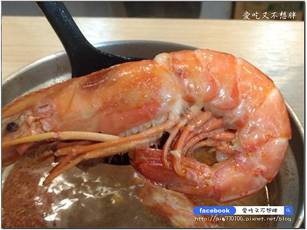 【新北市泰山/美食】高CP值!相撲鍋超大一盤肉只要309元!雙人海鮮總匯大船上桌只要1399元!怎麼吃都不心庝啦~極上日式涮涮鍋 【新北市泰山/美食】高CP值!相撲鍋超大一盤肉只要309元!雙人海鮮總匯大船上桌只要1399元!怎麼吃都不心庝啦~極上日式涮涮鍋