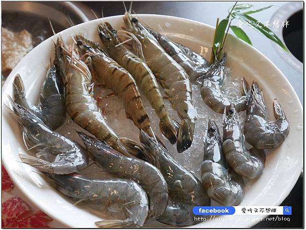 【宜蘭冬山/美食】220就可以吃到飽！不收服務費/多吃多賺，吃愈多愈回本！禾豐日式涮涮鍋