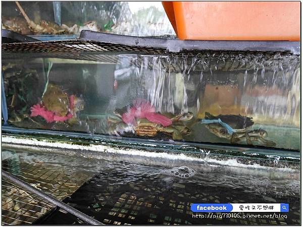 【宜蘭五結/美食】新鮮活海鮮!現宰活體羊!獨家私藏羊料理!超豪華水果拼盤大滿足~品鮮活海鮮餐廳 【宜蘭五結/美食】新鮮活海鮮!現宰活體羊!獨家私藏羊料理!超豪華水果拼盤大滿足~品鮮活海鮮餐廳