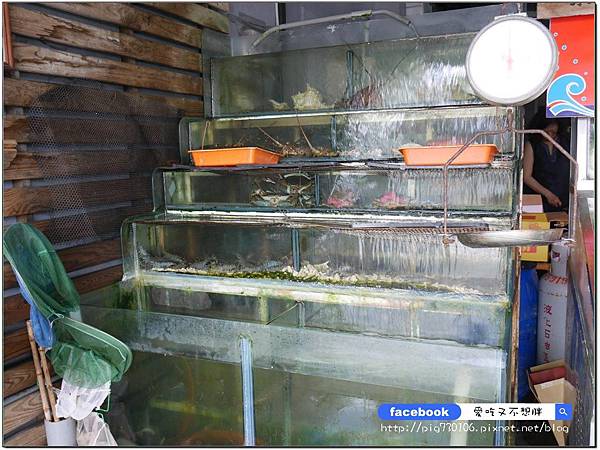 【宜蘭五結/美食】新鮮活海鮮!現宰活體羊!獨家私藏羊料理!超豪華水果拼盤大滿足~品鮮活海鮮餐廳 【宜蘭五結/美食】新鮮活海鮮!現宰活體羊!獨家私藏羊料理!超豪華水果拼盤大滿足~品鮮活海鮮餐廳