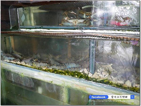 【宜蘭五結/美食】新鮮活海鮮!現宰活體羊!獨家私藏羊料理!超豪華水果拼盤大滿足~品鮮活海鮮餐廳 【宜蘭五結/美食】新鮮活海鮮!現宰活體羊!獨家私藏羊料理!超豪華水果拼盤大滿足~品鮮活海鮮餐廳