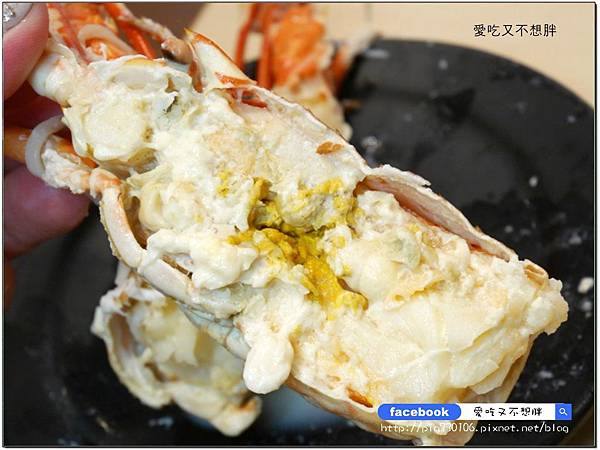 【板橋/火鍋】雙人龍蝦無敵海陸鍋只要1580元!玻璃瓶飲料無限暢飲!必點牛奶鍋、麻辣鍋!JA 鍋物 【板橋/火鍋】雙人龍蝦無敵海陸鍋只要1580元!玻璃瓶飲料無限暢飲!必點牛奶鍋、麻辣鍋!JA 鍋物