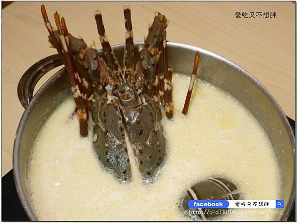 【板橋/火鍋】雙人龍蝦無敵海陸鍋只要1580元!玻璃瓶飲料無限暢飲!必點牛奶鍋、麻辣鍋!JA 鍋物 【板橋/火鍋】雙人龍蝦無敵海陸鍋只要1580元!玻璃瓶飲料無限暢飲!必點牛奶鍋、麻辣鍋!JA 鍋物