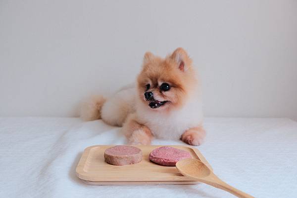 寵物生食推薦牛肉威