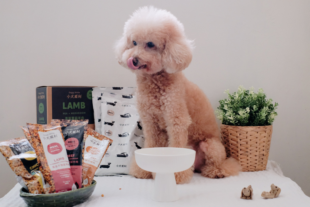 小犬威利熟食凍乾主食：高蛋白質、低敏特性的完美組合