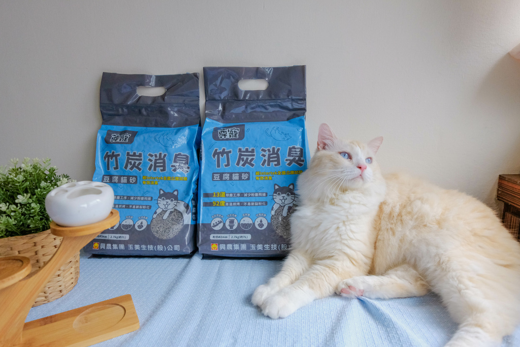 尊寵豆腐砂試用心得：解密消臭效果與沖馬桶秘訣！