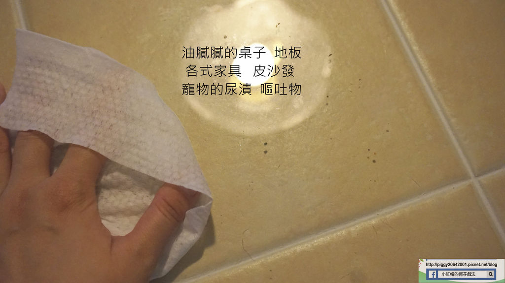 DSC00789_副本.jpg DSC00789_副本.jpg