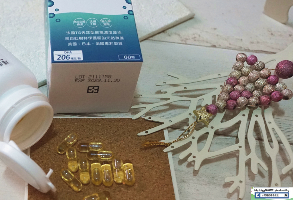 DSC09797_副本.jpg DSC09797_副本.jpg