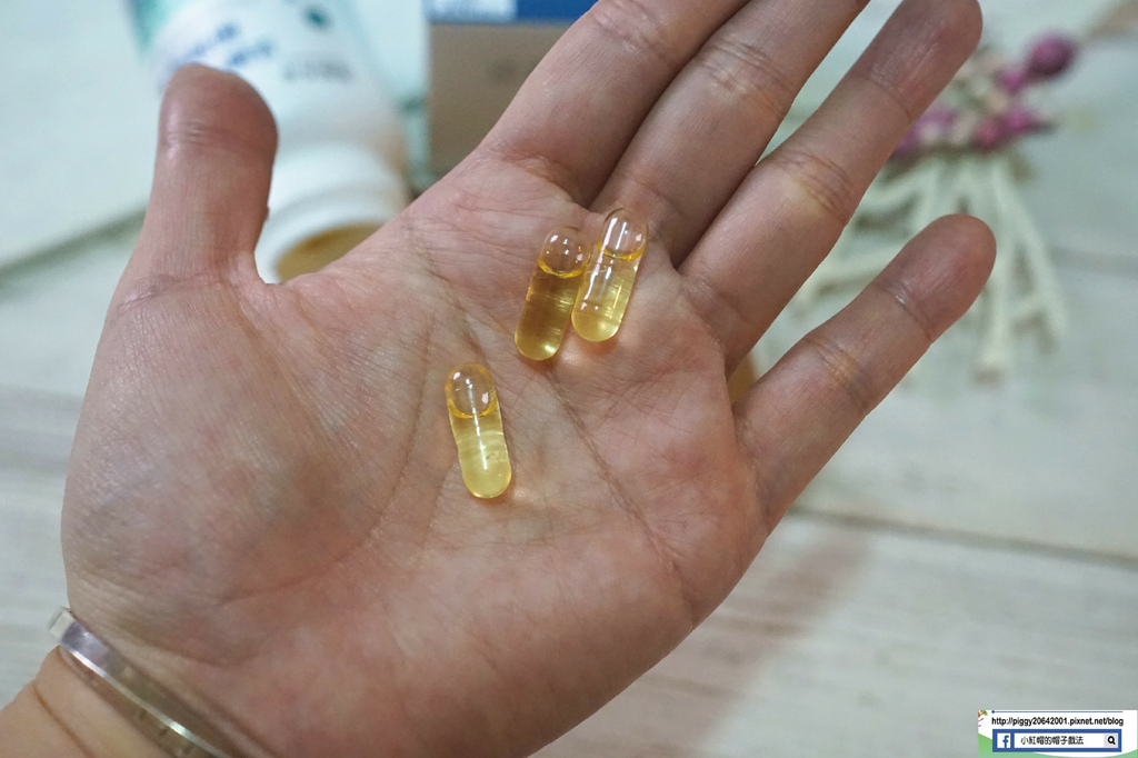 DSC09798_副本.jpg DSC09798_副本.jpg