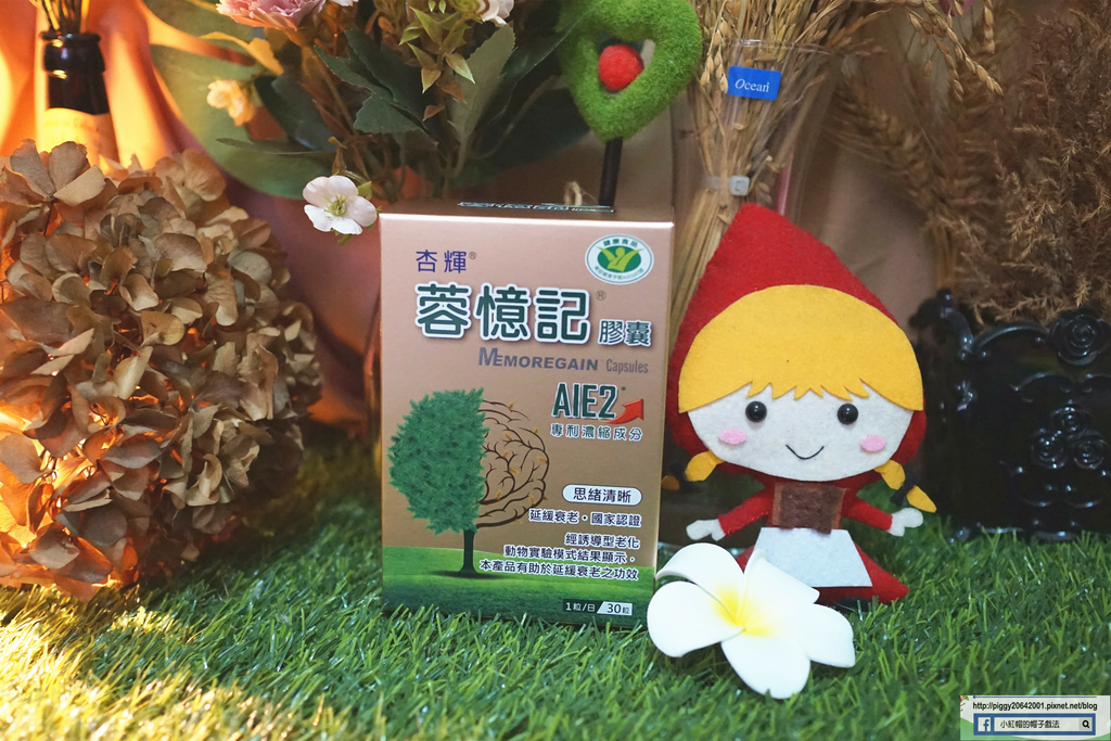 DSC09817_副本.jpg DSC09817_副本.jpg