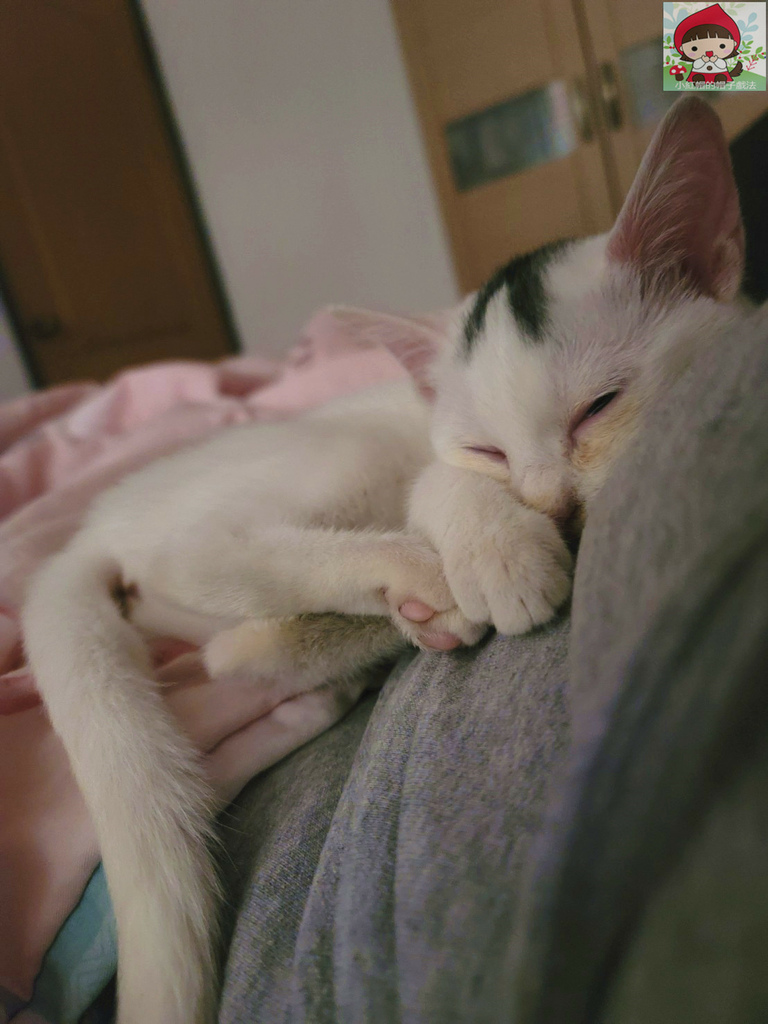 20220119_111236_4_副本.jpg 20220119_111236_4_副本.jpg