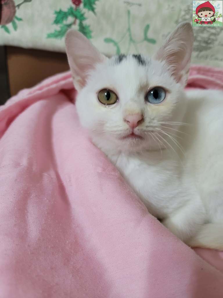 20220127_164714_0.jpg 20220127_164714_0.jpg