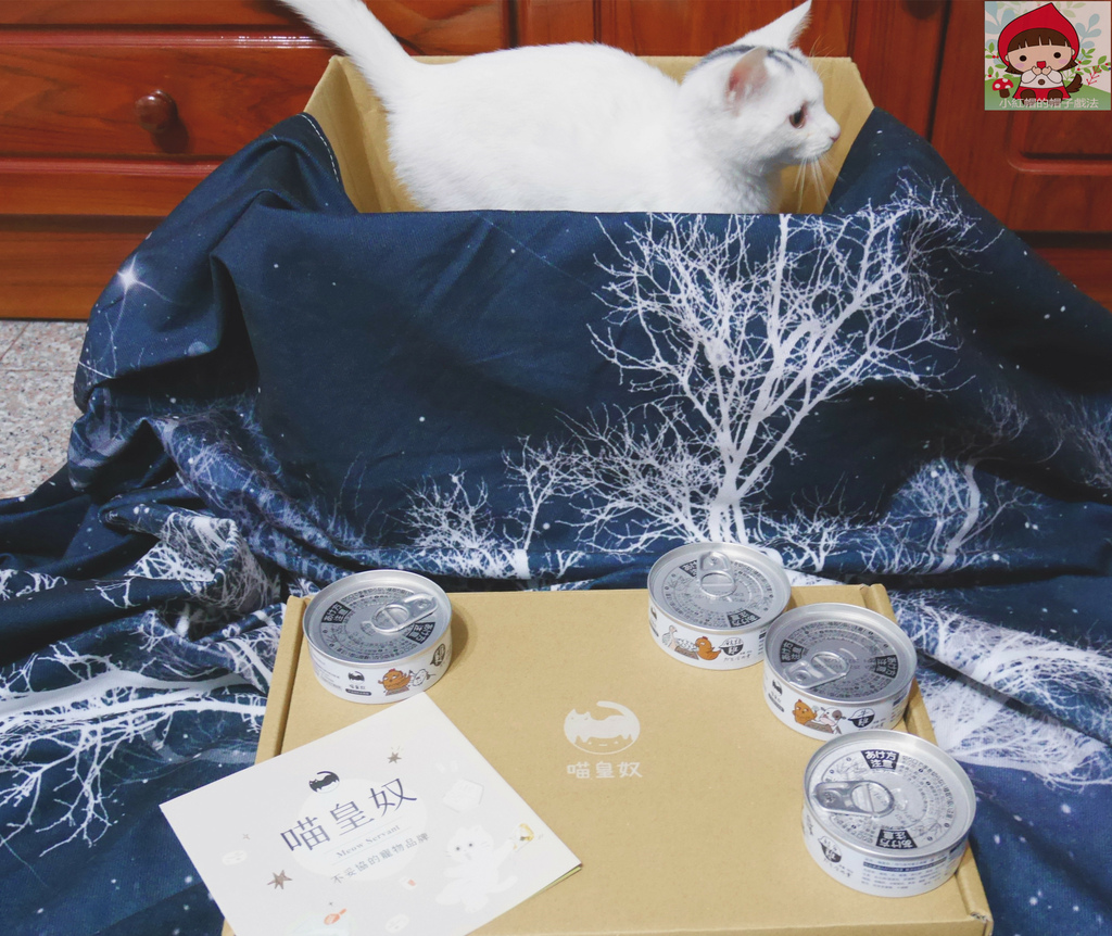 P1320918_副本.jpg P1320918_副本.jpg