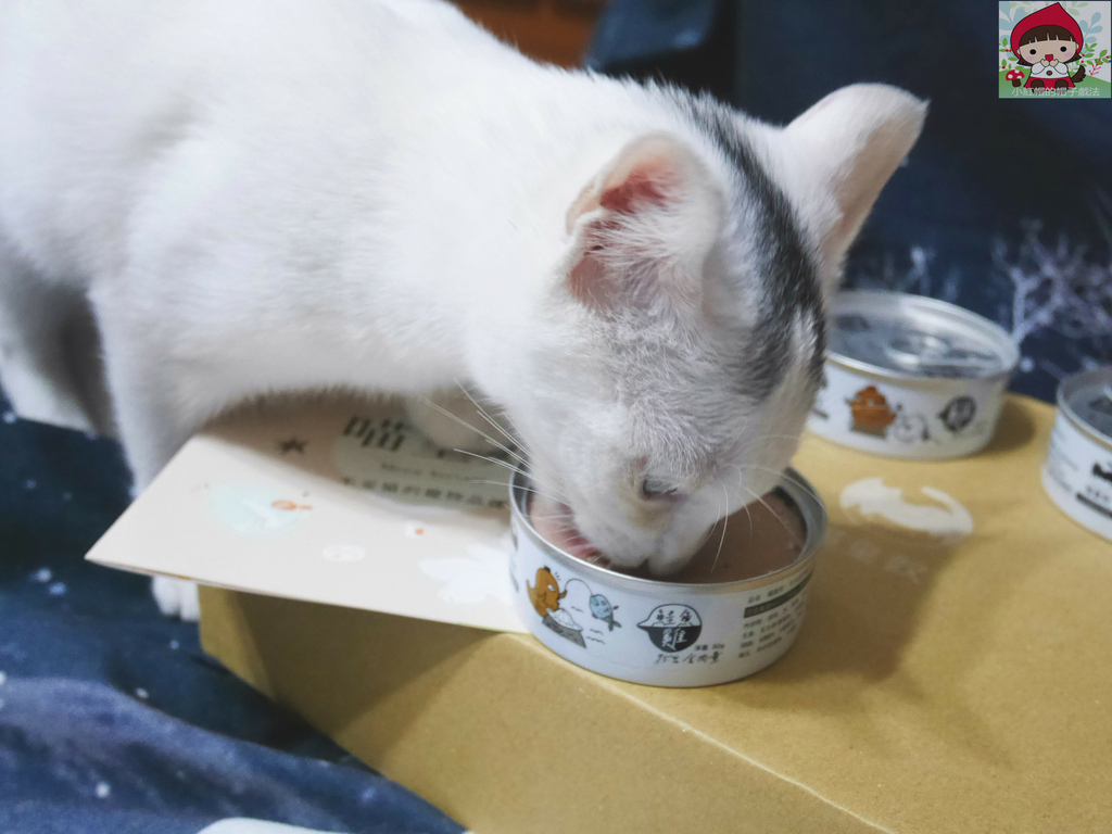 P1320921_副本.jpg P1320921_副本.jpg