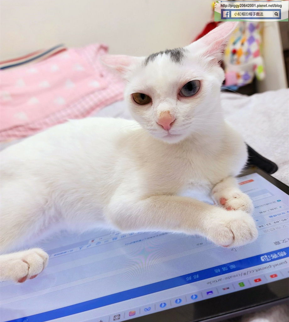 20220509_233145_1_副本.jpg 20220509_233145_1_副本.jpg