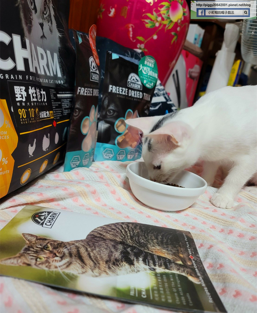 20220520_175301_5_副本.jpg 20220520_175301_5_副本.jpg