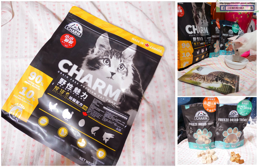 首圖.jpg 首圖.jpg