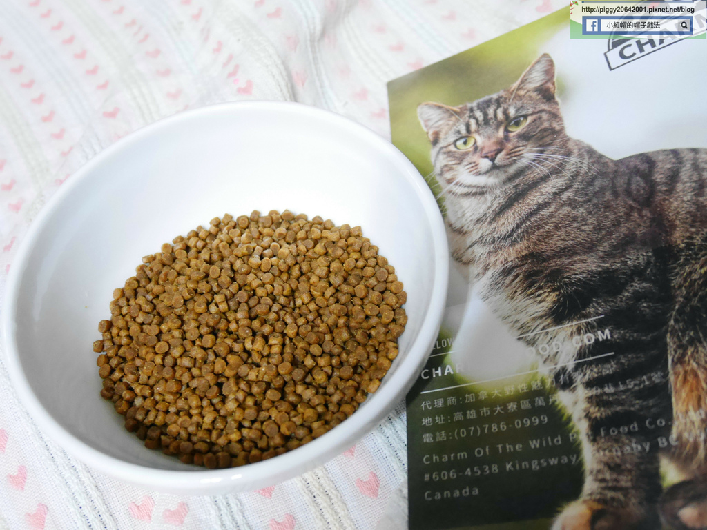 P1330761_副本.jpg P1330761_副本.jpg