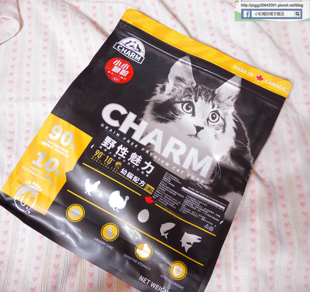 P1330747_副本.jpg P1330747_副本.jpg