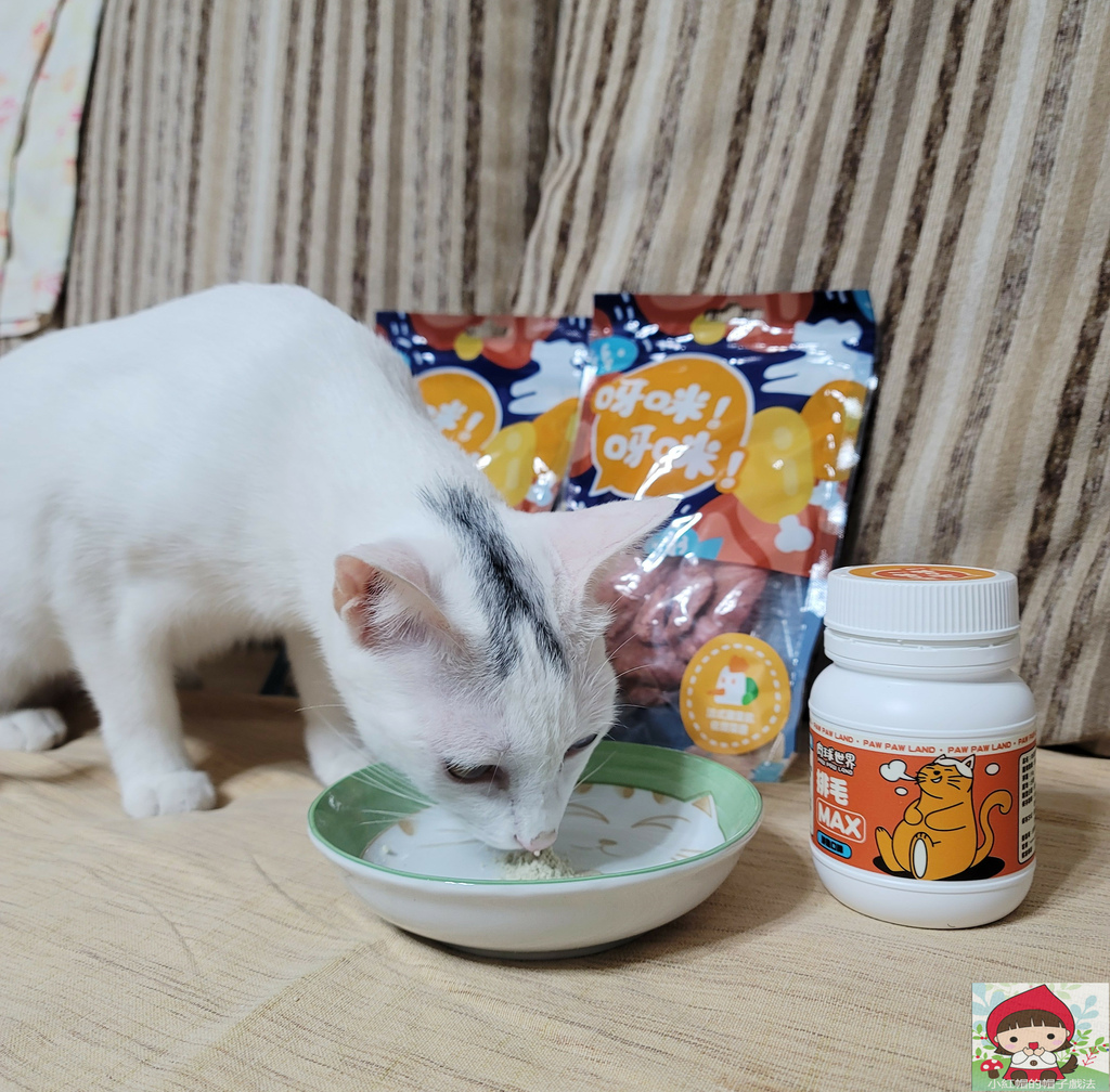 20220917_174256_副本.jpg 肉球世界排毛MAX跟奶酥的第一次接觸