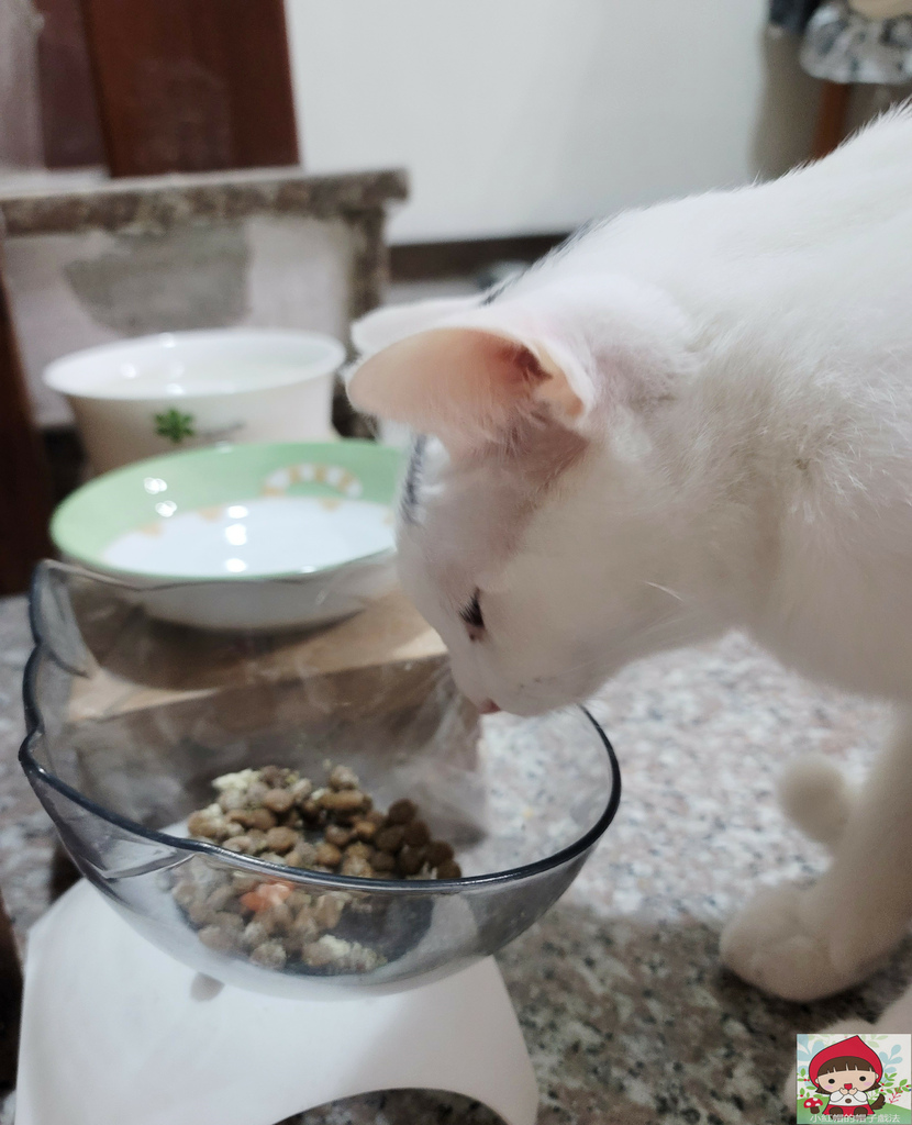 20220917_192735_副本.jpg 奶酥很買單的把凍乾跟排毛MAX一塊吃了