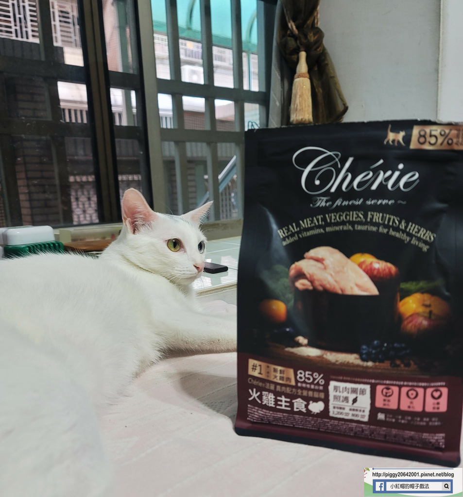 20230506_174924_副本.jpg 20230506_174924_副本.jpg