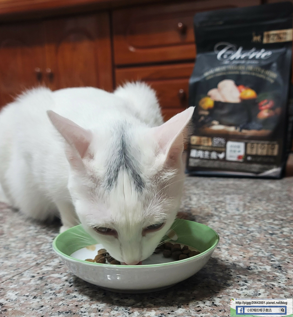 20230506_172644_副本.jpg 20230506_172644_副本.jpg