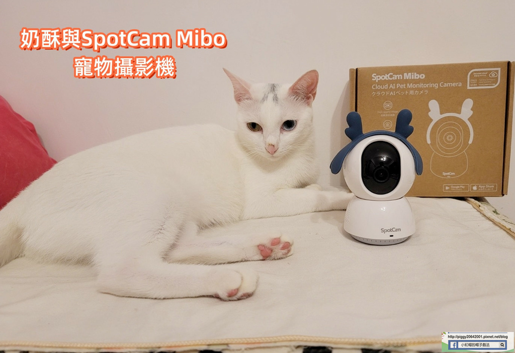 首圖.jpg 首圖.jpg