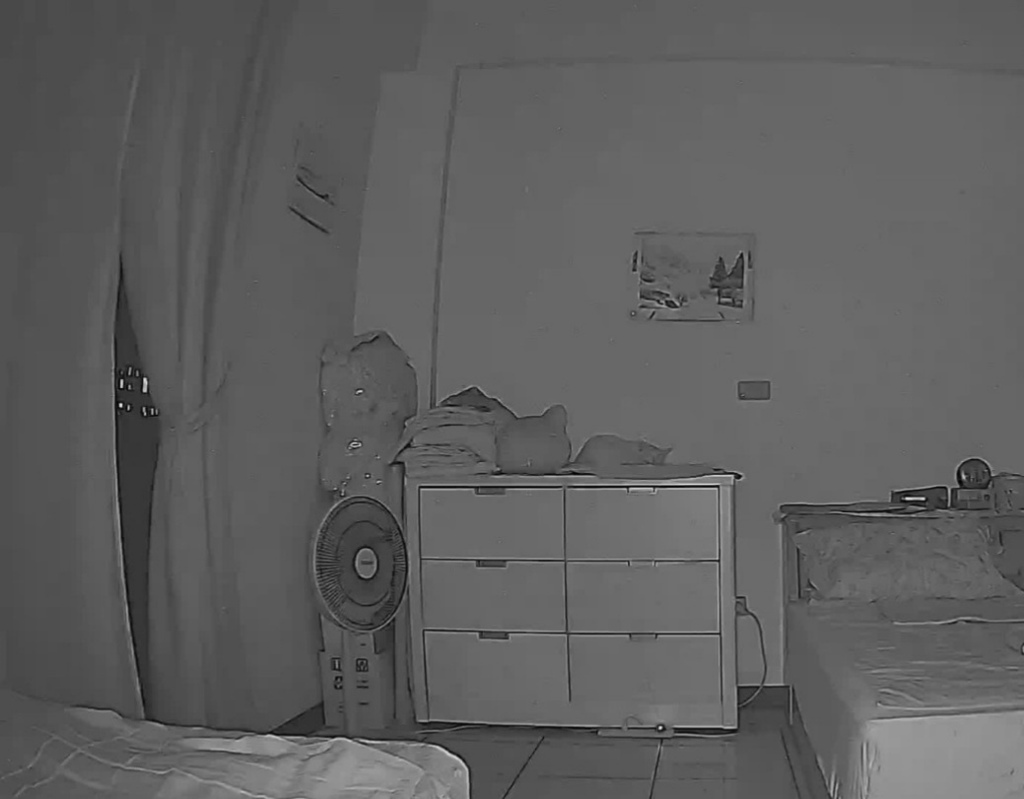 SpotCam Mibo寵物攝影機開箱/2K高清畫質/市場唯 SpotCam Mibo寵物攝影機開箱/2K高清畫質/市場唯