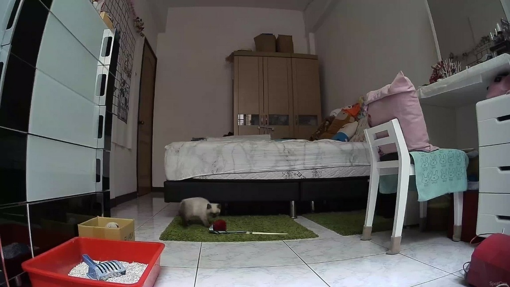 SpotCam Mibo寵物攝影機開箱/2K高清畫質/市場唯 SpotCam Mibo寵物攝影機開箱/2K高清畫質/市場唯