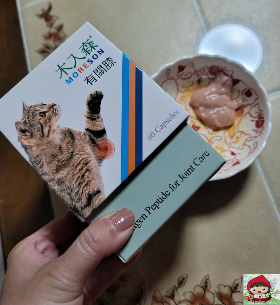 木入森貓咪有關膝/貓寶專用/適口性極高鰹魚海鮮味/讓貓寶迫不