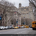 American Museum of Natural History（AMNH）