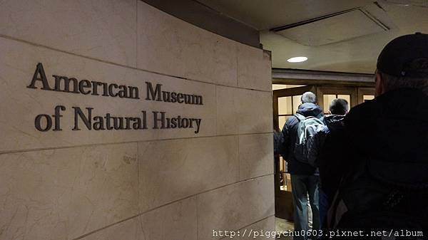 American Museum of Natural History（AMNH）