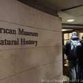 American Museum of Natural History（AMNH）