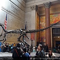 American Museum of Natural History（AMNH）