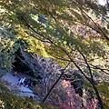 清水寺~