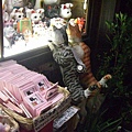 京都散步~