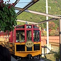 山差 峨 野  小 火 車