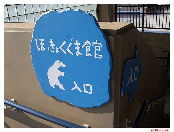 旭川動物園-北極熊
