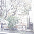 下雪的東京