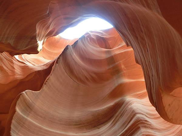 CIMG7106.JPG CIMG7106.JPG