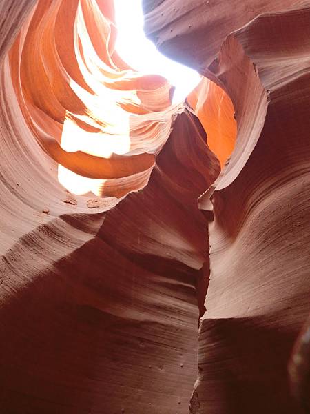 CIMG7136.JPG CIMG7136.JPG