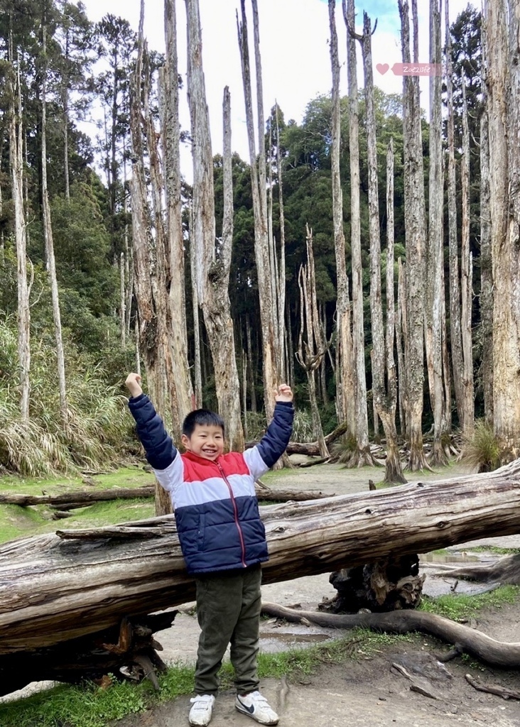 【南投鹿谷景點】忘憂森林冬季枯水期每年十一月至二月不一樣的美